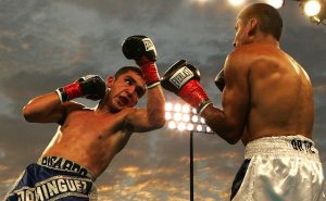 Boxen wetten